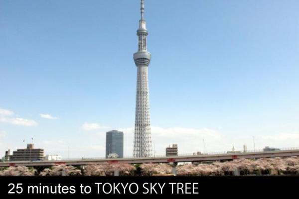 Mizue Dai-Ichi Hotel Tokyo prefektur Exteriör bild